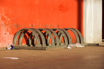 bike carrier . bicycle parking lot against red wall background