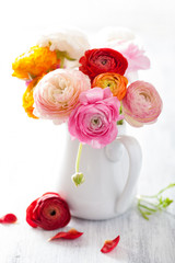 Fotomurales - beautiful ranunculus flowers in vase over white