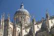 Salamanca (Spain): historic cathedral