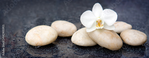 Obraz w ramie Single orchid flower and white stones.