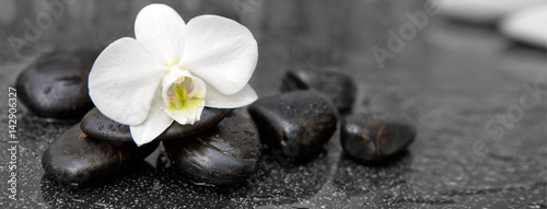 Zdjęcie XXL Pojedyncza biała orchidea i czarni kamienie zamykamy up.