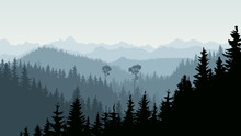 Horizontal Illustration Of Morning Mist In Forest Hills.