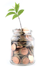 Plant Growing In Savings Coins - Investment And Interest Concept