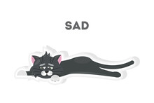 Isolated Sad Cat On White Background. Cute Sticker.