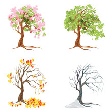Four Seasons Trees On White Background. Summer, Spring, Fall And Winter.