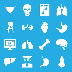 Sticker - Set of 16 anatomy filled icons