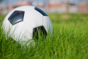 Wall Mural - Soccer football on the green grass.