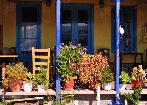 Fotografia  Lesbos window flowers