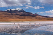 High-altitude lagoon with flamingos on the plateau Altiplano, Eduardo Avaroa Andean Fauna National Reserve, Bolivia