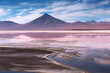 Colorada lagoon with flamingos on the plateau Altiplano, Eduardo Avaroa Andean Fauna National Reserve, Bolivia