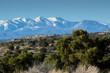 Majestic Snowcapped Peaks IV/Snow-capped peaks in the desert Southwest