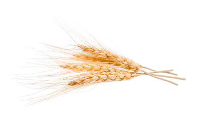 Wheat ears isolated on white background