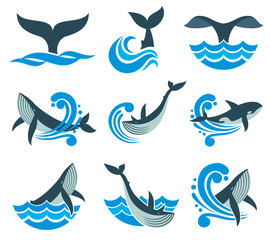 wild whale in sea waves and water splashes vector icons