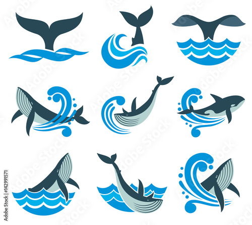 Fotomural Wild whale in sea waves and water splashes vector icons