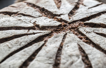 Canvas Print - Rye bread with nuts and seeds: top view