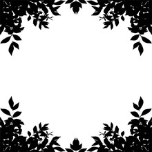 Leaf Border Silhouette Isolated On White Background. Clipping Paths Included.