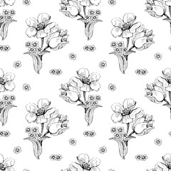 Wall Mural - Black and white seamless pattern with hand drawn flowers. 