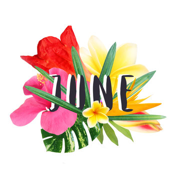 Floral collage isolated on white background