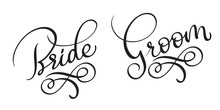 Bride Groom Hand Drawn Vintage Vector Text On White Background. Calligraphy Lettering Illustration EPS10