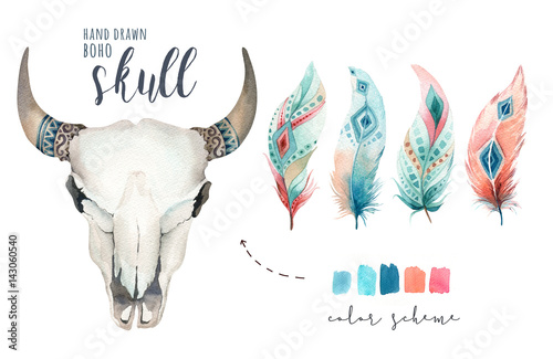Watercolor Bohemian Cow Skull Western Mammals Watercolour