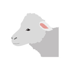 Sticker - Sheep farm animal vector illustration graphic design