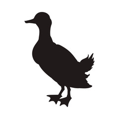 Sticker - Duck farm animal vector illustration graphic design