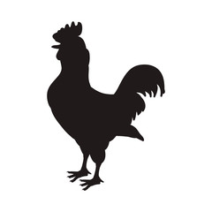 Sticker - Rooster farm animal vector illustration graphic design