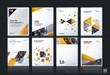 © Diamond Graphics - Abstract vector business template. Brochure layout, cover modern