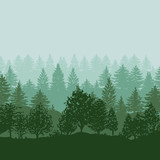 Fototapeta Kwiaty - Forest trees silhouettes background
