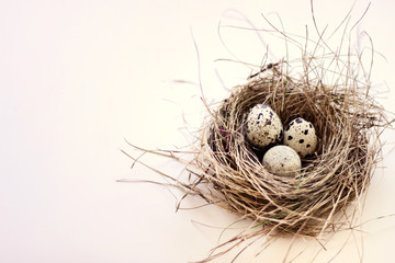 Birds nest with three eggs with spots on white background.