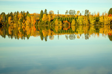 autumn trees reflection in lake
