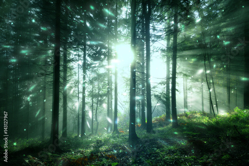 magical-sunlight-in-the-foggy-sunny-forest-landscape-with-firefly-light-lovely-fairytale-woodland
