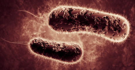 Wall Mural - Digital 3D illustration of bacteria