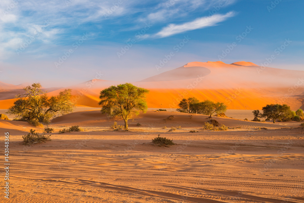 Sand dunes in the Namib desert at dawn, roadtrip in the wonderful Namib Naukluft National Park, travel destination in Namibia, Africa. Morning light, mist and fog. - obrazy, fototapety, plakaty 