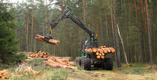The Harvester Working In A Forest. Harvest Of Timber. Firewood As A Renewable Energy Source. Agriculture And Forestry Theme. 