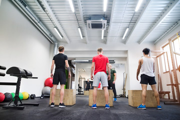 Poster - Men in gym with trainer exercising on fit boxes.