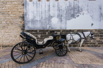 Wall Mural - Horse carriage in Jerez de la Frontera,Spain