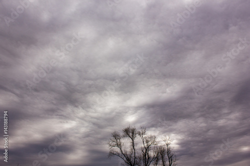 Fotografie, Obraz Altostratus undulatus clouds before storm
