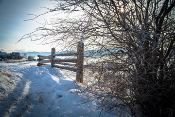 Winter near Baikal