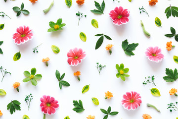 Wall Mural - Colorful Floral Pattern