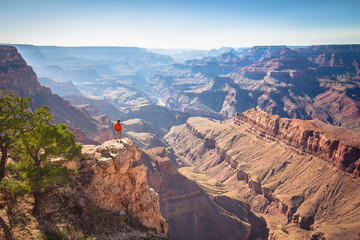 Wall Mural - hiker in grand canyon national park, arizona, usa