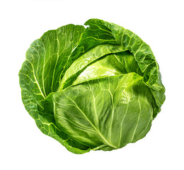 Wall Mural - Green cabbage isolated on white