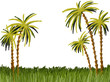 Hand drawn colorful palms in the grass on the white background, isolated illustration painted by oil color, high quality