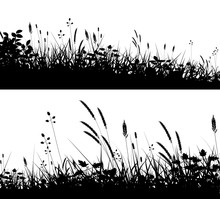 Grassy Foregrounds