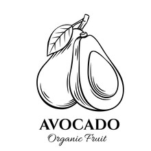 Hand Drawn Avocado Icon.