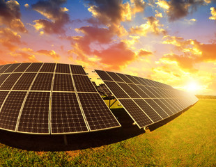 Wall Mural - photovoltaic panels at sunset. power plant using renewable solar energy.