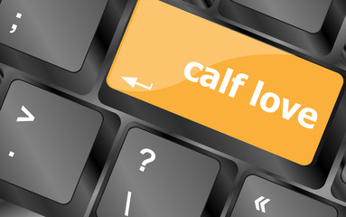Poster - calf love words showing romance and love on keyboard keys