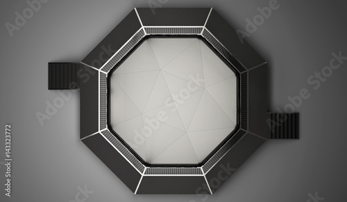 Oktagon UFC Bellator Ring MMA pugliato arti marziali miste Fototapet