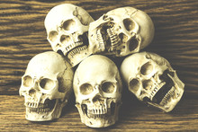 Genocides, Skull On Wooden Background / Still Life Style