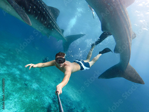 Zdjęcie XXL Podwodny fotograf pływa z wielorybimi rekinami i robi selfie w Philippines